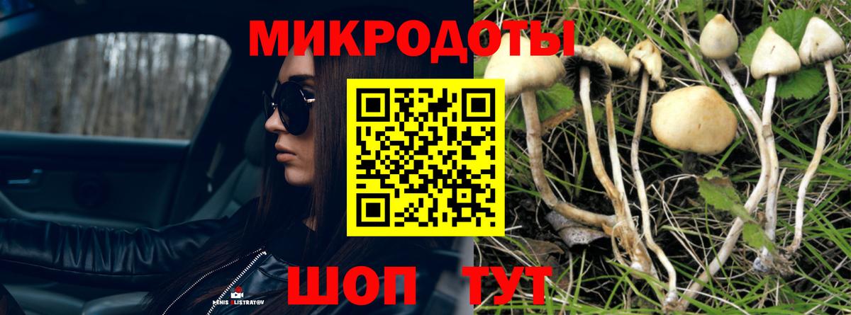 Галлюциногенные грибы мицелий Рассказово