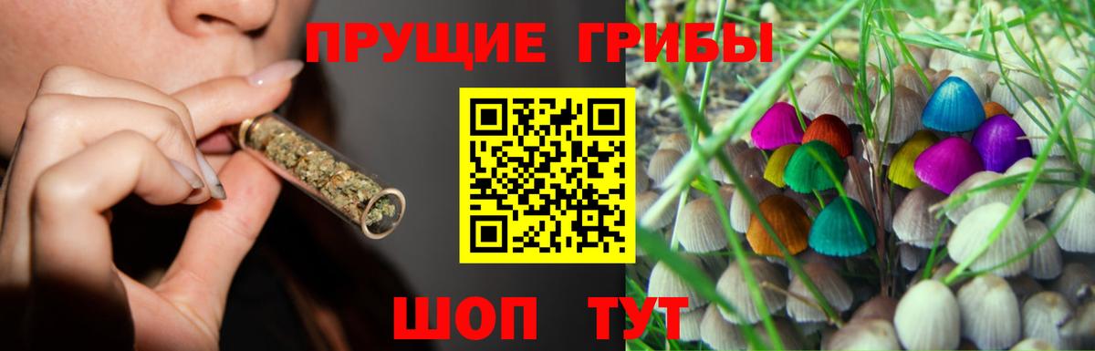 Псилоцибиновые грибы прущие грибы  Вход с VPN  где продают наркотики  Рассказово 